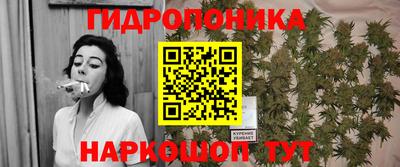 амф Лесосибирск