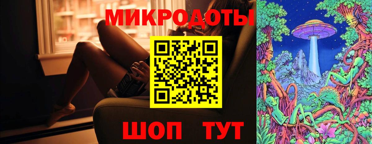 Псилоцибиновые грибы Psilocybe Выкса